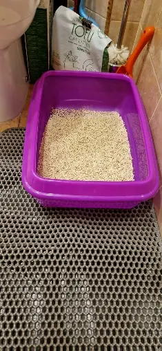 Photo d'un acheteur montrant le tapis de litière Minopatte en situation