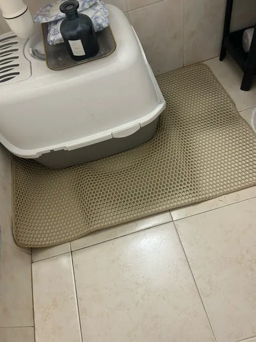 Photo d'un acheteur montrant le tapis de litière Minopatte en situation