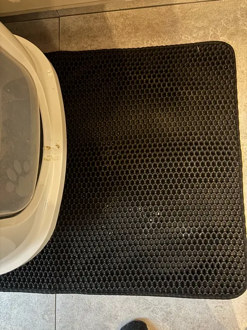 Photo d'un acheteur montrant le tapis de litière Minopatte en situation