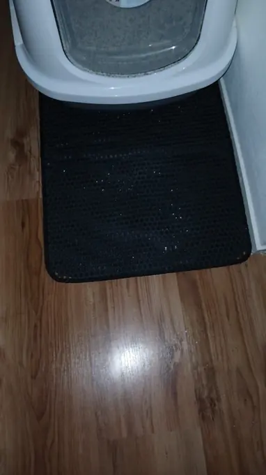 Photo d'un acheteur montrant le tapis de litière Minopatte en situation