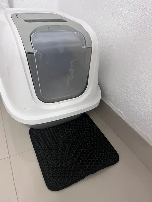 Photo d'un acheteur montrant le tapis de litière Minopatte en situation