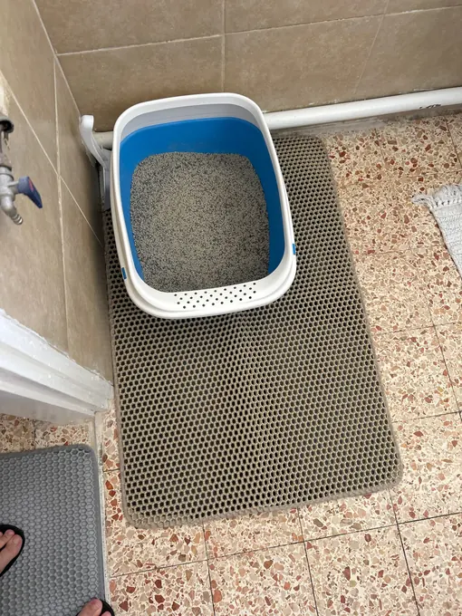 Photo d'un acheteur montrant le tapis de litière Minopatte en situation